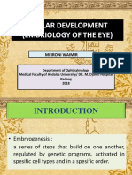 Ocular Development (Embriology of The Eye) : Meironi Waimir