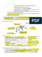 10 2-2. Agonistas Adrenérgicos