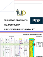 Interpretación de Registros Geofísicos