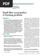 Small Fiber Neuropathy: A Burning Problem: Review