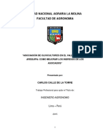 Asociación de Olivicultores en El Valle de Cháparra Como Mejorar Los Ingresos de Los Asociados-Carlos Calle