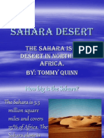 Sahara Desert