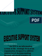 Executive Support System