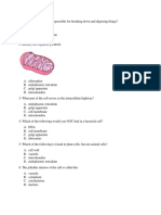 Cell Quiz