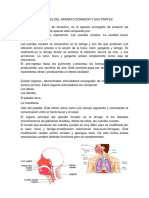 Funciones Del Aparato Donador y Sus Partes