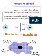 Responses To Stimuli of Amoeba