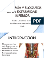 Anatomia y Bloqueos de Miembro Inferior