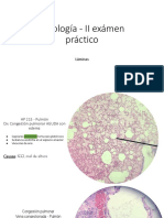 Copia de Patología - II Examen