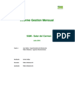 IGM Julio - SQM Salar Del Carmen