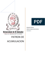 Patrón de Acumulación Del Capital