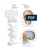 Roteiro de Aula Cranio