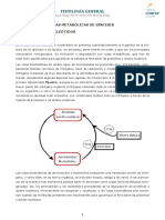 Tema 5C-Bloque I-Vias Formacion Aminoacidos y Nucleotidos PDF