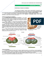 09 - Estrutura e Função Do Cerebelo