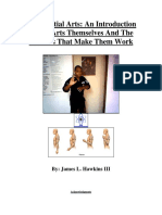 SCIENCE OF MARTIAL ARTS:jhawkins Thesis PDF