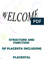 Placenta