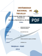 Derecho Porocesal Constitucional Ciclo 9