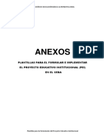 Anexos para Formular El Pei