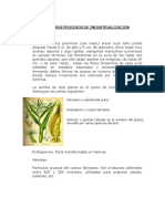 Avance de Clases PDF