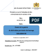 Rapport Pfe Oumatou