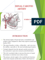 External Carotid Artery