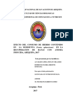 Nuallosm Nostoc Sphaericum Efecto Del Consumo de Hierro