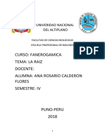 Univeridad Nacional Del Altiplano Fanero