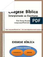 Exegese Prof Roney Ricardo