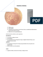 Trompas Uterinas Histología