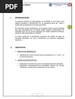 1er Informe Cerdos