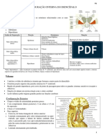 7 - CONFIGURAÄ O INTERNA DO DIENCêFALO