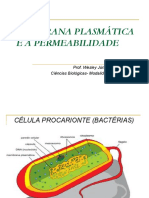 Membrana Plasmática e A Permeabilidade