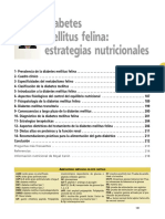 Cap 5 Diabetes Mellitus Felina Estrategias Nutricionales PDF