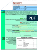 Resumo de Semiologia - Ecotoscopia - PHYM