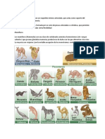 Animales Vertebrados e Invertebrados Con Imagenes