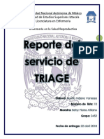 Reporte Triage