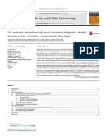 The Molecular Mechanisms of Sexual Orientation and Gender Identity