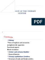 Histology of The Urinary System