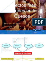 Defectos en Quesos-Chri Hansen-Nslab