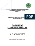 Garantias Constitucionales