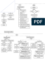 Mapa Conceptual Empírico-Analítico 