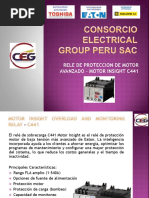 Presentación C441 CEGP