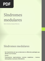 Sindromes Medulares