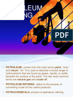 Petroleum Industry