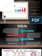 Linea Del Tiempo. Evolución Del Embarazo