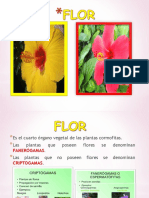 Clase 8 La Flor