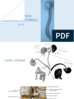 Biomecanica Coloanei Vertebrale