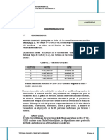 Declaracion-Impacto Ambiental PDF