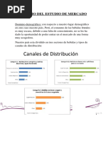 Dominio Del Estudio de Mercado