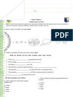 0 Prueba de Ciencias 3° Basico A