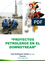 UDABOL Proyectos en Downstream 180528